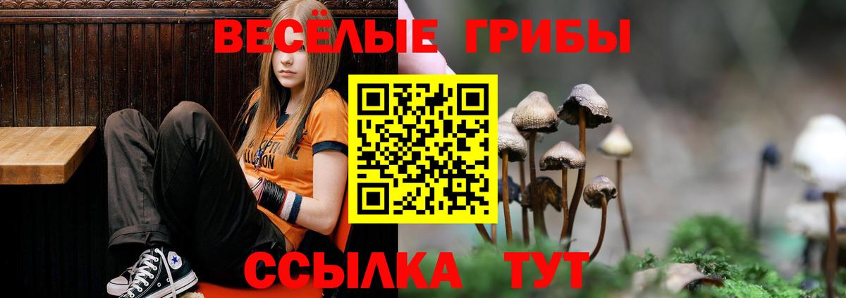 Галлюциногенные грибы мухоморы  Вход с VPN  Ноябрьск  хочу наркоту  Псилоцибиновые грибы мицелий 